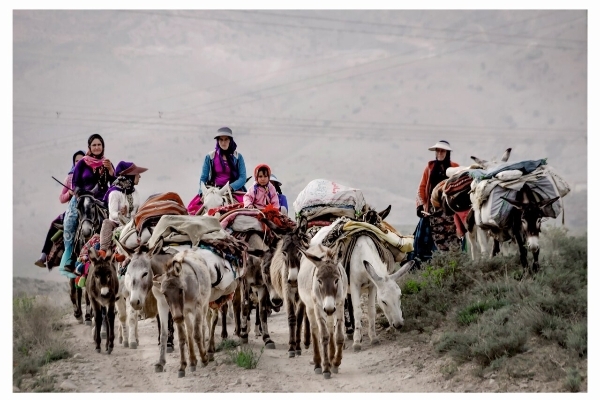 ورود عشایر کوچرو به منطقه قشلاقی از اوایل آبان ماه در شهرستان