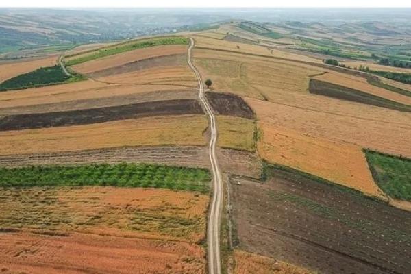 اجرای طرح جهش تولید در دیم‌زارهای کرمانشاه