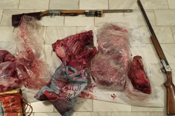 کشف ۲ قبضه اسلحه از متخلفین زیست محیطی در سرپل‌ذهاب