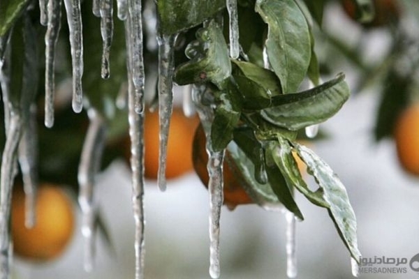کرمانشاه زمستانی سردتر از پارسال دارد
