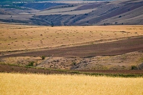 رتبه نخست کرمانشاه در طرح جهش تولید