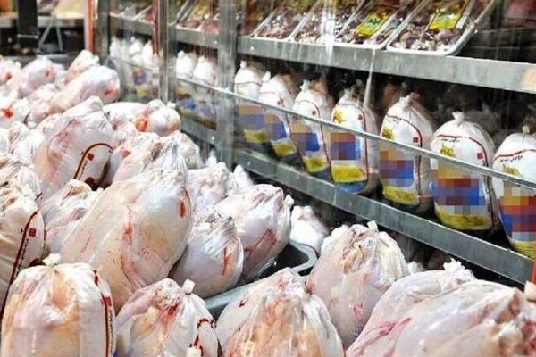 ضرورت حمایت از تولیدکنندگان طیور