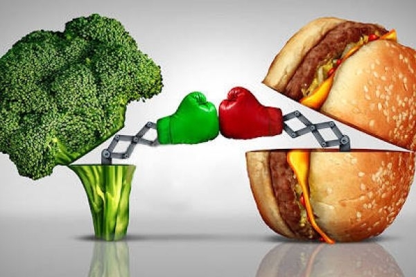 رژیم غذایی متعادل، کلید رشد سالم کودکان