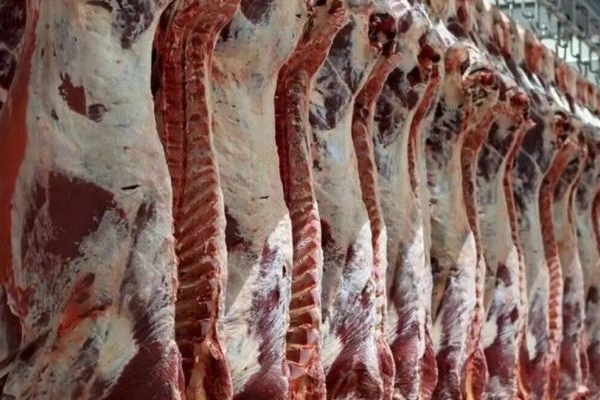 افزایش واردات گوشت قرمز