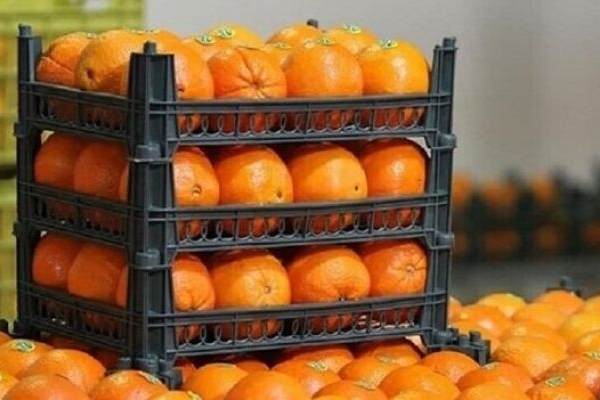 توزیع میوه شب عید در کرمانشاه