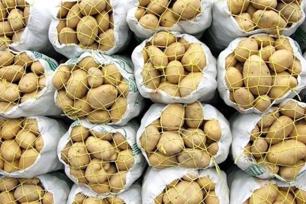 آغاز عرضه سیب زمینی با قیمت مصوب در فروشگاه‌های زنجیره‌ای/ عرضه و تقاضا متعادل می‌شود