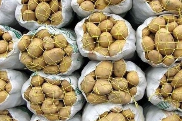 تشدید نظارت بر قیمت‌گذاری سیب‌زمینی در بازار