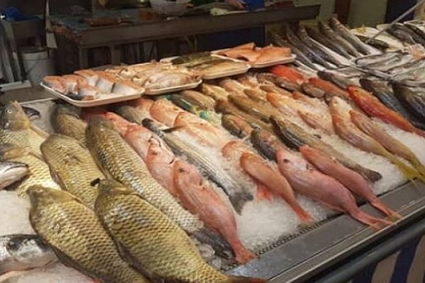 کرمانشاه درصدد افزایش ارزش‌افزوده محصولات آبزی است