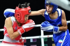 نبود حامی مالی پایدار مهم‌ترین چالش بوکس کرمانشاه