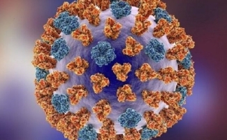 موج شیوع آنفلوانزا ادامه دارد