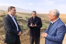 بازدید فرماندار سرپل‌ذهاب از پروژه آسفالت روستای برخ و باران