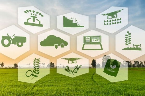 کشاورزی کرمانشاه پس از انقلاب جهش یافت