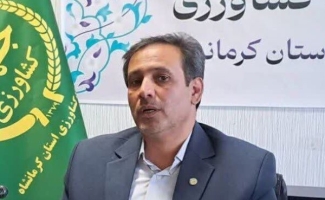 تزریق گسترده کالاهای اساسی برای مهار بازار