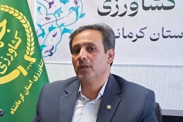 تزریق گسترده کالاهای اساسی برای مهار بازار