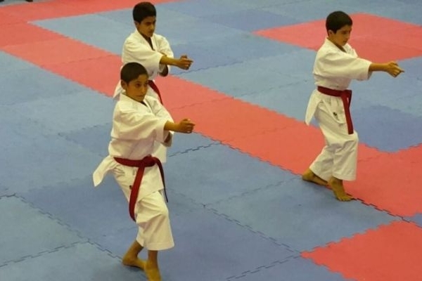 کک مسئولان اسلام‌آبادی از طغیان چالش‌های کاراته نمی‌گزد