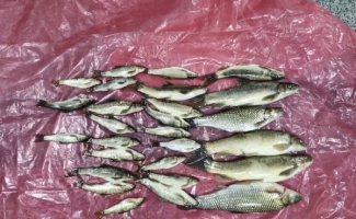 دستگیری متخلفین صید غیرمجاز ماهی در سرپل ذهاب با همکاری کلانتری ۱۱ بسیج شهری