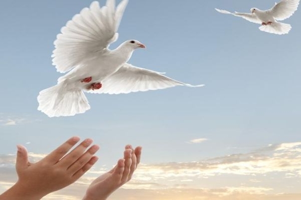 بخشش نیازی انسانی و اخلاقی است