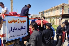 توزیع ۳۰ تنی سیب‌زمینی تنظیم بازار در سرپل‌ذهاب؛ قیمت مصوب ۴۵ هزار تومان