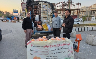 آغاز توزیع میوه طرح تنظیم بازار شب عید در سرپل‌ذهاب؛ پرتقال کیلویی ۶۵ هزار و سیب ۱۰۵ هزار تومان