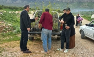 غرس ۳۰۰ اصله نهال به یاد شهدای جنگ رمضان در تفرجگاه امام‌عباس سرپل‌ذهاب