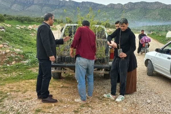 غرس ۳۰۰ اصله نهال به یاد شهدای جنگ رمضان در تفرجگاه امام‌عباس سرپل‌ذهاب