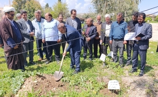 کاشت ۲۰ اصله نهال در جهاد کشاورزی سرپل‌ذهاب به یاد شهدای جنگ رمضان