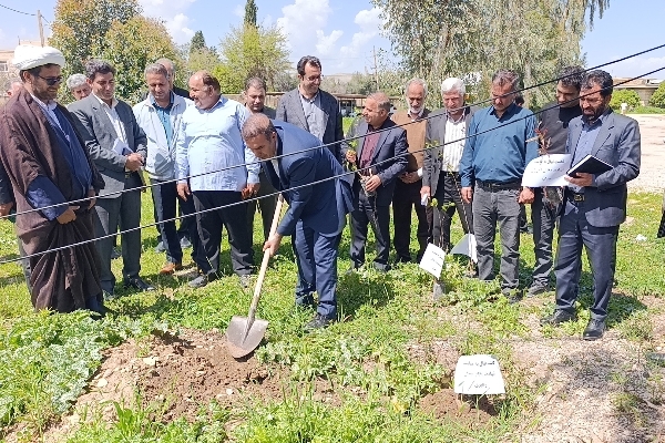کاشت ۲۰ اصله نهال در جهاد کشاورزی سرپل‌ذهاب به یاد شهدای جنگ رمضان