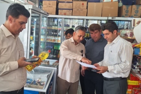 تشکیل پرونده برای دو واحد متخلف در گشت مشترک نظارتی سرپل‌ذهاب