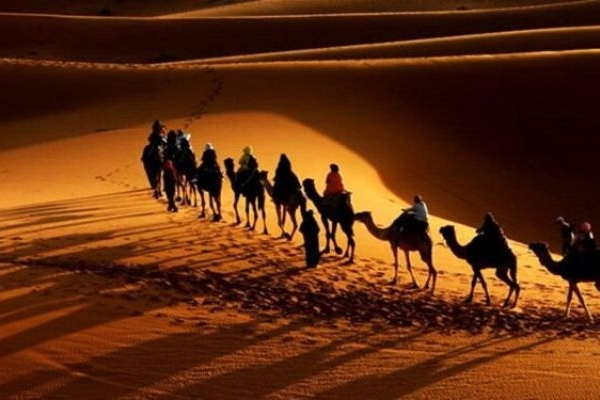 حرکت امام حسین (ع) الهام‌بخش تاریخ اسلام است