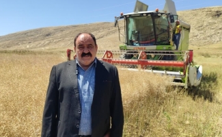 آغاز برداشت کلزا در سرپل‌ذهاب؛ پیش‌بینی تولید تا ۲ هزار کیلوگرم در هر هکتار