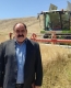 آغاز برداشت کلزا در سرپل‌ذهاب؛ پیش‌بینی تولید تا ۲ هزار کیلوگرم در هر هکتار