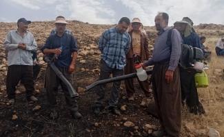 آتش‌سوزی یک هکتار از مزارع گندم روستای ریزوند سرپل‌ذهاب مهار شد