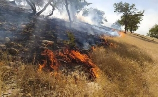 مهار آتش‌سوزی مراتع روستای کل‌داوود با تلاش نیروهای امدادی و مشارکت مردمی