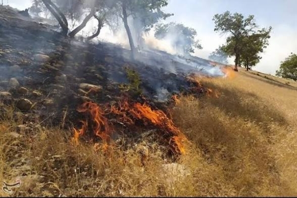مهار آتش‌سوزی مراتع روستای کل‌داوود با تلاش نیروهای امدادی و مشارکت مردمی