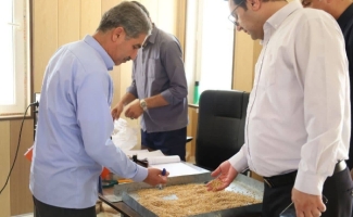 خرید ۲۷ هزار تن گندم از کشاورزان کرمانشاه؛ نظارت میدانی بر مراکز خرید تضمینی در مناطق گرمسیری