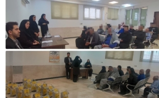 برگزاری کارگاه توانمندسازی افراد دارای معلولیت و سالمندان در سرپل‌ذهاب