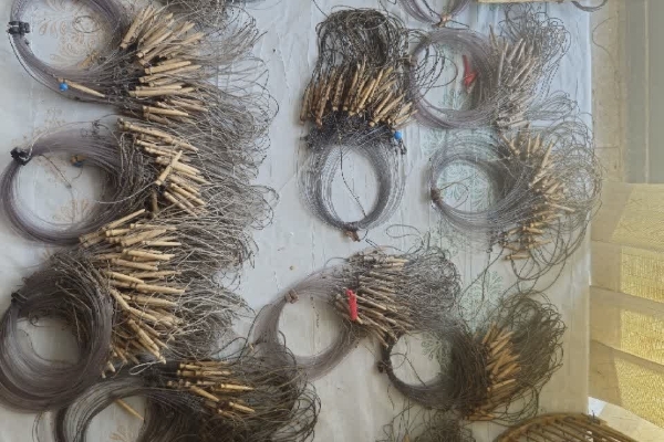 کشف و ضبط ۱۵ رشته تور زنده‌گیری پرندگان و یک قطعه کبک شکارشده در سرپل‌ذهاب