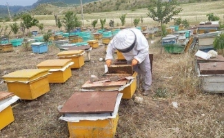 اجرای ۳۶۱ طرح اشتغال‌زایی برای مددجویان کمیته امداد سرپل‌ذهاب با پرداخت ۷۲ میلیارد تومان تسهیلات