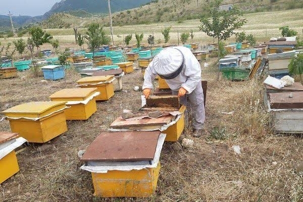 اجرای ۳۶۱ طرح اشتغال‌زایی برای مددجویان کمیته امداد سرپل‌ذهاب با پرداخت ۷۲ میلیارد تومان تسهیلات