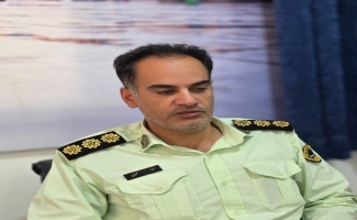 فرمانده انتظامی سرپل‌ذهاب از دستگیری سارقان احشام و کابل برق خبر داد