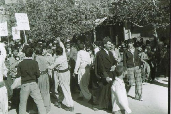  ازحضور در یگانهای مردمی حفاظت ازشهر تاپایین کشیدن تمثال شاه خائن/ وقتی مردم سرپلذهاب حال وهوای ایام پیروزی انقلاب را خوب به یاد دارند