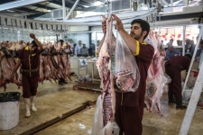 نظارت 2 اکیپ دامپزشکی بر ذبح بهداشتی دام‌‌ها درعید قربان 