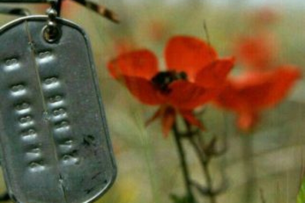 شهیدی که در مکتب حسینی پرورش یافت / خاکریز جبهه ها روایتگر رشادت شهید صفریانی