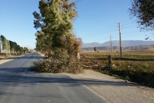خسارتهای بسیار در شهرستان ارمغان بادهای موسمی فصل هزاررنگ/ از قطعی برق روستاها تا خساراتی که واحدهای دامی متحمل شده است
