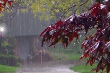 بارش ها در کشور تا اوایل هفته آینده ادامه دارد