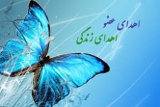 پدر زلزله زده ای که به پاس زحمات مردم ایران اعضای بدن پسرش را اهدا کرد