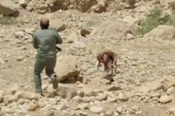 درگیری محیط‌بانان با شکارچیان غیرمجاز / مصدومیت ۳ نفر