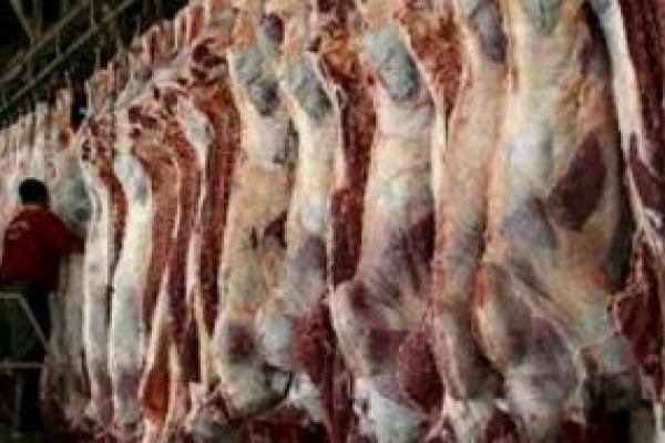 توصیه‌های دامپزشکی در مورد تب کریمه /سمپاشی ۸۰۰ روستای زلزله‌زده
