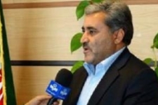 خسارت ۶۰ درصدی به مزارع دیمی مناطق گرمسیری/ افزایش کشت گلخانه‌ای
