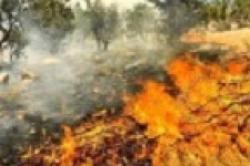 سه هکتار از مراتع جنگلی گیلانغرب در آتش سوخت